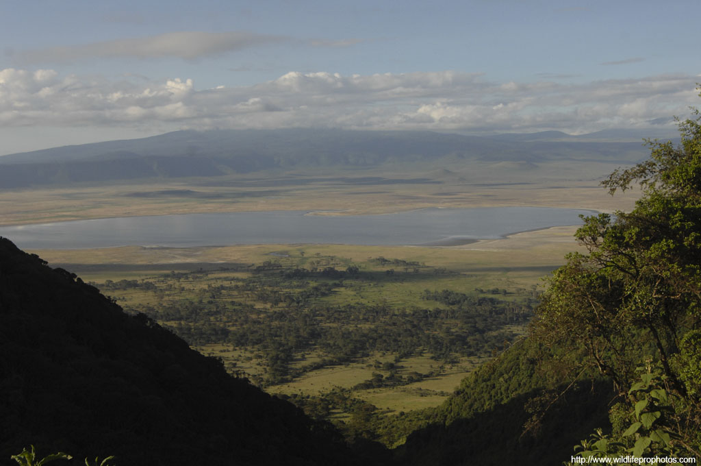 Le cratre Ngorongoro.