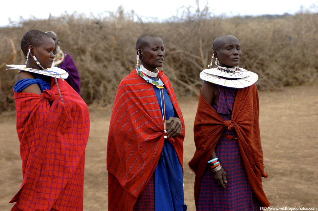 Des femmes Maasai dans leurs robes traditionnelles