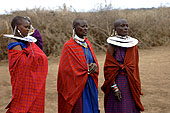 feemes Maasai