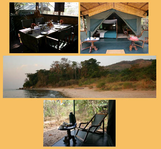 Gombe Camp where you will see primates