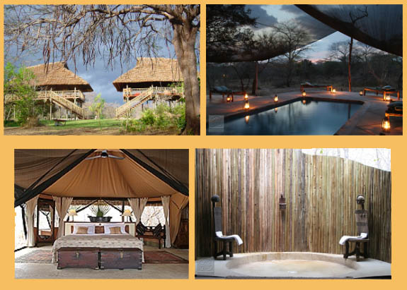 A picture of the The Selous Safari Camp