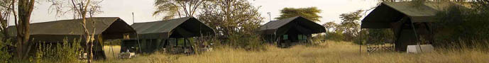 a Naipenda Safaris tented camp site