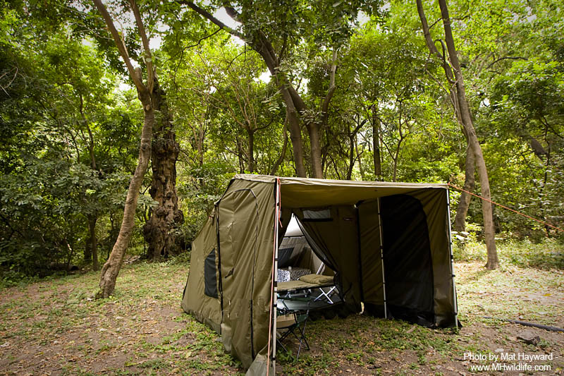 The Naipenda budget tent