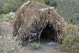 The hadzabe live in huts