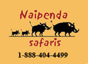 image of the Naipenda Safari Logo